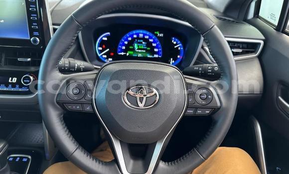 Buy Used Toyota Corolla Cross White Car in Lusaka in Zambia Buy Used Toyota Corolla Cross White Car in Lusaka in Zambia