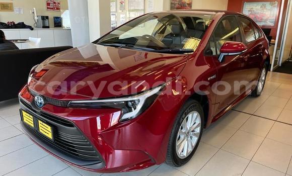 Acheter Occasion Voiture Toyota Corolla Rouge à Lusaka, Zambie