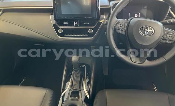 Tenga Tsaru Toyota Corolla Tsvuku Mota in Lusaka in Zambia Tenga Tsaru Toyota Corolla Tsvuku Mota in Lusaka in Zambia