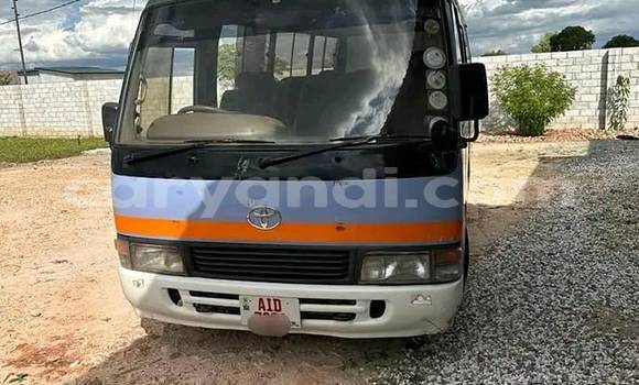 Buy Used Isuzu FTR 850 Other Truck in Chinsali in Northern Buy Used Isuzu FTR 850 Other Truck in Chinsali in Northern