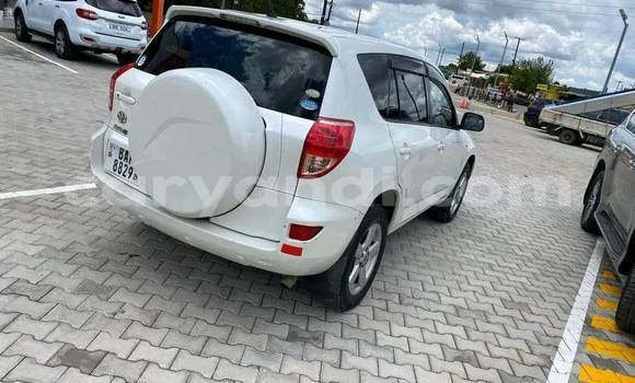 Buy Used Toyota RAV4 White Car in Chipata in Zambia Buy Used Toyota RAV4 White Car in Chipata in Zambia