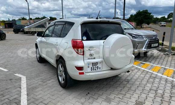 Buy Used Toyota RAV4 White Car in Chipata in Zambia Buy Used Toyota RAV4 White Car in Chipata in Zambia