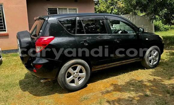 Buy Used Toyota RAV4 Black Car in Chipata in Zambia Buy Used Toyota RAV4 Black Car in Chipata in Zambia
