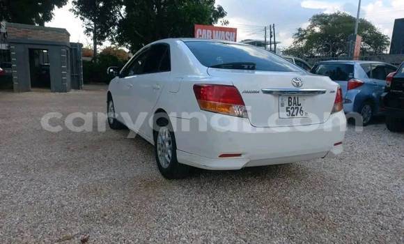 Buy Used Toyota Allion White Car in Chinsali in Northern Buy Used Toyota Allion White Car in Chinsali in Northern