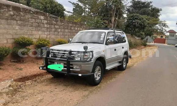 Acheter Occasion Voiture Toyota Land Cruiser Blanc à Chipata, Zambie