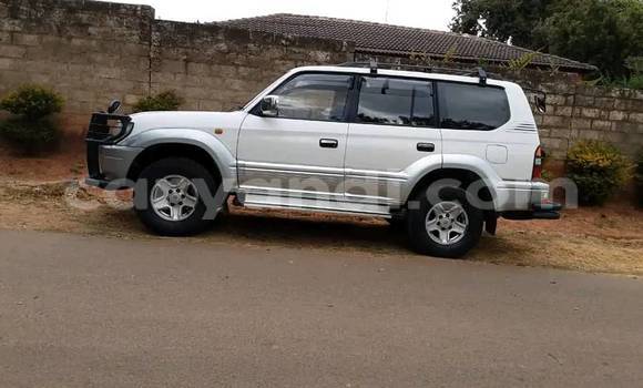 Buy Used Toyota Land Cruiser White Car in Chipata in Zambia Buy Used Toyota Land Cruiser White Car in Chipata in Zambia