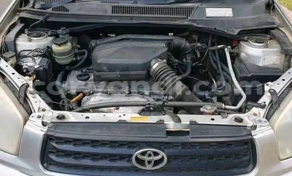 Buy Used Toyota RAV4 Other Car in Chinsali in Northern Buy Used Toyota RAV4 Other Car in Chinsali in Northern