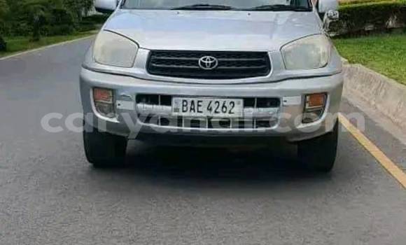 Buy Used Toyota RAV4 Other Car in Chinsali in Northern Buy Used Toyota RAV4 Other Car in Chinsali in Northern