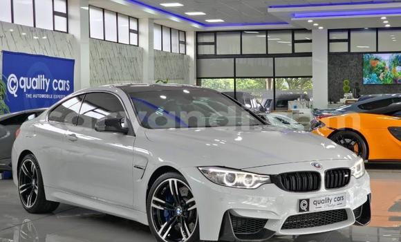 Tenga Tsaru BMW M4 Chena Mota in Chingola in Zambia