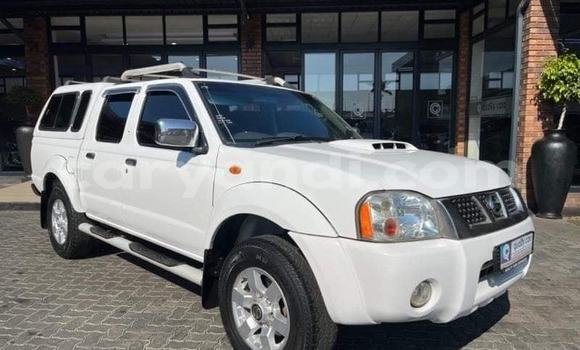 Tenga Tsaru Nissan NP 300 Chena Mota in Kabwe in Zambia Tenga Tsaru Nissan NP 300 Chena Mota in Kabwe in Zambia