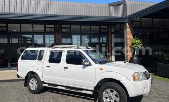 Tenga Tsaru Nissan NP 300 Chena Mota in Kabwe in Zambia Tenga Tsaru Nissan NP 300 Chena Mota in Kabwe in Zambia