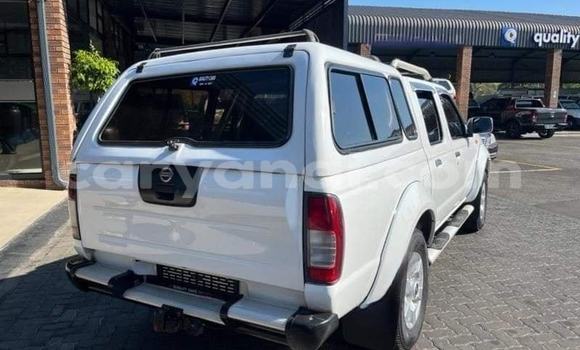 Tenga Tsaru Nissan NP 300 Chena Mota in Kabwe in Zambia Tenga Tsaru Nissan NP 300 Chena Mota in Kabwe in Zambia