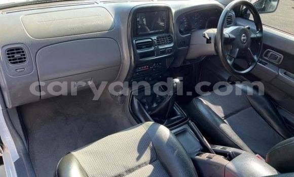 Tenga Tsaru Nissan NP 300 Chena Mota in Kabwe in Zambia Tenga Tsaru Nissan NP 300 Chena Mota in Kabwe in Zambia