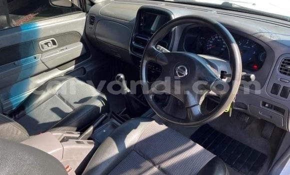 Tenga Tsaru Nissan NP 300 Chena Mota in Kabwe in Zambia Tenga Tsaru Nissan NP 300 Chena Mota in Kabwe in Zambia