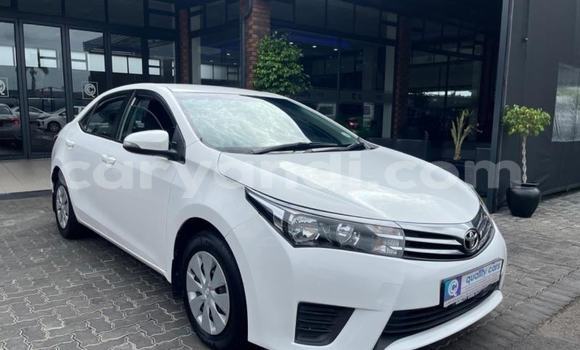 Tenga Tsaru Toyota Corolla Chena Mota in Kabwe in Zambia Tenga Tsaru Toyota Corolla Chena Mota in Kabwe in Zambia