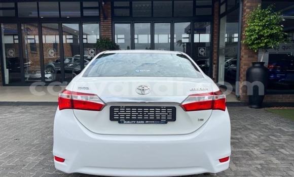 Tenga Tsaru Toyota Corolla Chena Mota in Kabwe in Zambia Tenga Tsaru Toyota Corolla Chena Mota in Kabwe in Zambia