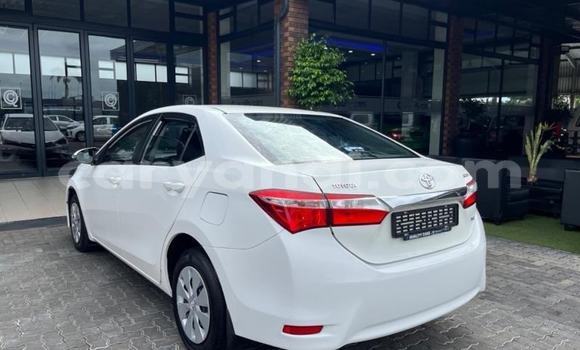 Tenga Tsaru Toyota Corolla Chena Mota in Kabwe in Zambia Tenga Tsaru Toyota Corolla Chena Mota in Kabwe in Zambia