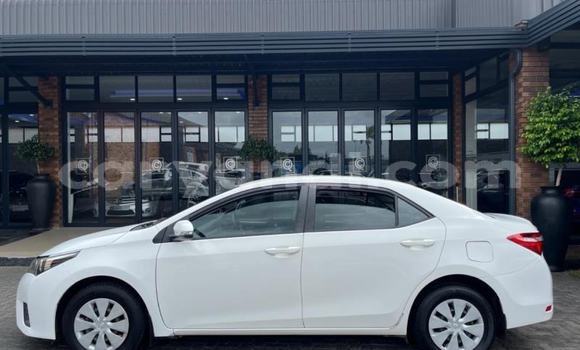 Tenga Tsaru Toyota Corolla Chena Mota in Kabwe in Zambia Tenga Tsaru Toyota Corolla Chena Mota in Kabwe in Zambia