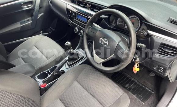 Tenga Tsaru Toyota Corolla Chena Mota in Kabwe in Zambia Tenga Tsaru Toyota Corolla Chena Mota in Kabwe in Zambia