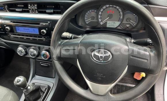 Tenga Tsaru Toyota Corolla Chena Mota in Kabwe in Zambia Tenga Tsaru Toyota Corolla Chena Mota in Kabwe in Zambia