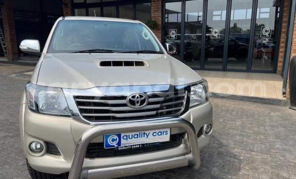 Tenga Tsaru Toyota Hilux Beige Mota in Kabwe in Zambia Tenga Tsaru Toyota Hilux Beige Mota in Kabwe in Zambia