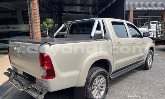 Tenga Tsaru Toyota Hilux Beige Mota in Kabwe in Zambia Tenga Tsaru Toyota Hilux Beige Mota in Kabwe in Zambia