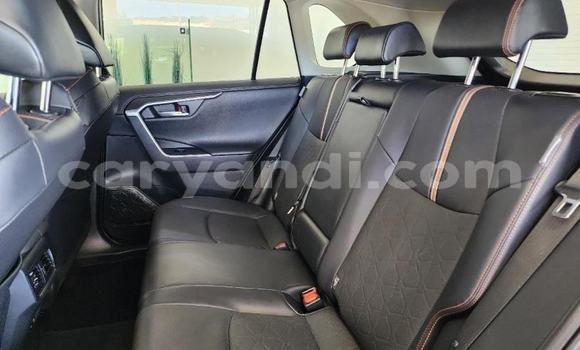 Tenga Tsaru Toyota RAV4 Zvimwe Mota in Kabwe in Zambia Tenga Tsaru Toyota RAV4 Zvimwe Mota in Kabwe in Zambia