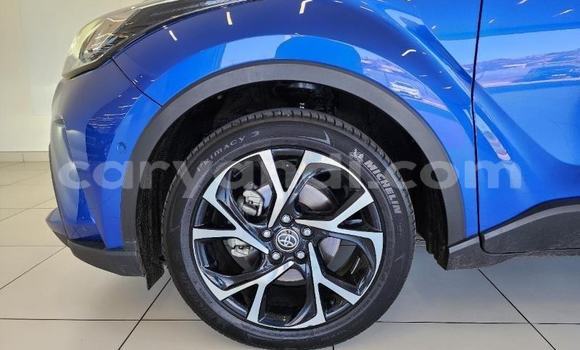 Tenga Tsaru Toyota C-HR Bhuruu Mota in Solwezi in North-Western Tenga Tsaru Toyota C-HR Bhuruu Mota in Solwezi in North-Western