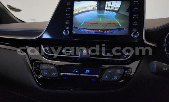 Tenga Tsaru Toyota C-HR Bhuruu Mota in Solwezi in North-Western Tenga Tsaru Toyota C-HR Bhuruu Mota in Solwezi in North-Western