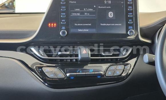 Tenga Tsaru Toyota C-HR Bhuruu Mota in Solwezi in North-Western Tenga Tsaru Toyota C-HR Bhuruu Mota in Solwezi in North-Western