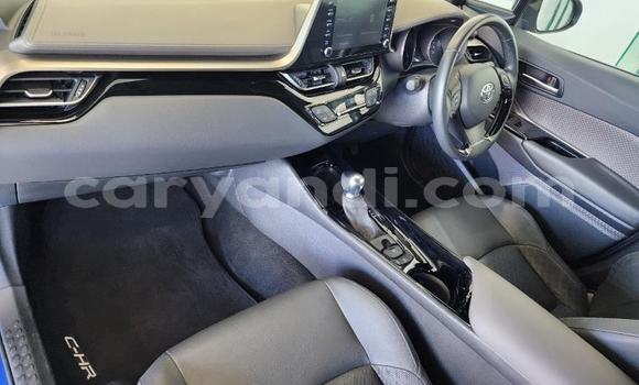 Tenga Tsaru Toyota C-HR Bhuruu Mota in Solwezi in North-Western Tenga Tsaru Toyota C-HR Bhuruu Mota in Solwezi in North-Western