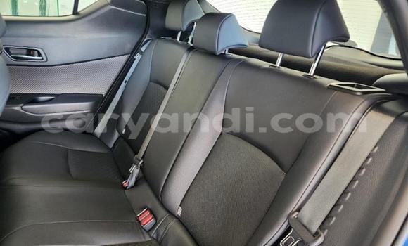 Tenga Tsaru Toyota C-HR Bhuruu Mota in Solwezi in North-Western Tenga Tsaru Toyota C-HR Bhuruu Mota in Solwezi in North-Western