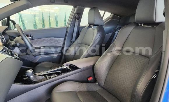 Tenga Tsaru Toyota C-HR Bhuruu Mota in Solwezi in North-Western Tenga Tsaru Toyota C-HR Bhuruu Mota in Solwezi in North-Western