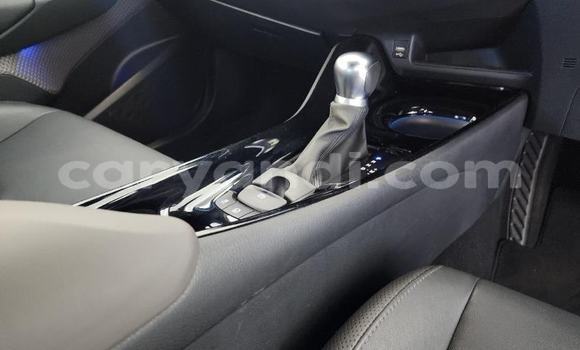 Tenga Tsaru Toyota C-HR Bhuruu Mota in Solwezi in North-Western Tenga Tsaru Toyota C-HR Bhuruu Mota in Solwezi in North-Western