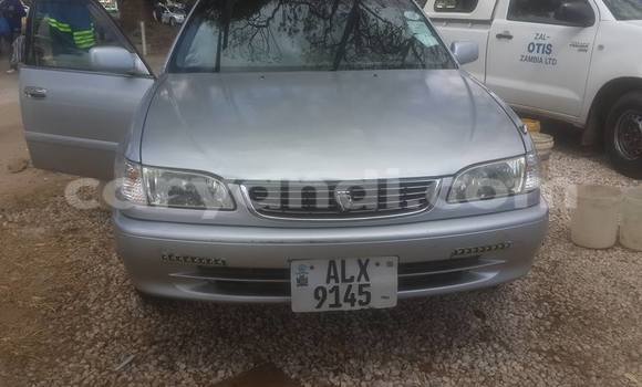 Acheter Occasion Voiture Toyota Noah Gris à Chingola, Zambie Acheter Occasion Voiture Toyota Noah Gris à Chingola, Zambie