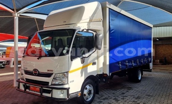 Buy Used Hino 300 Series White Truck in Lusaka in Zambia