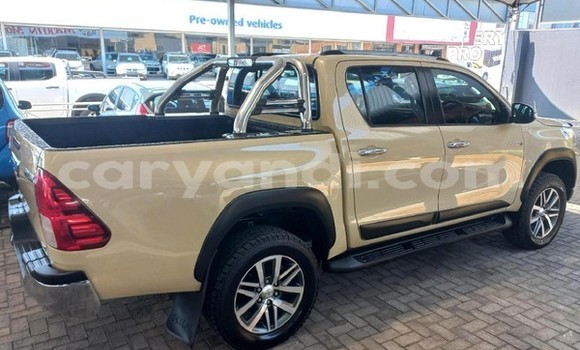 Tenga Tsaru Toyota Hilux Beige Mota in Lusaka in Zambia Tenga Tsaru Toyota Hilux Beige Mota in Lusaka in Zambia