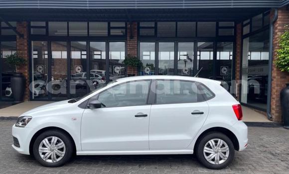Buy Used Volkswagen Polo White Car in Kabwe in Zambia Buy Used Volkswagen Polo White Car in Kabwe in Zambia