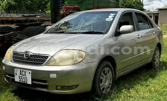 Buy Used Toyota Corolla Other Car in Chingola in Zambia