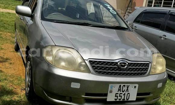 Buy Used Toyota Corolla Other Car in Chingola in Zambia Buy Used Toyota Corolla Other Car in Chingola in Zambia