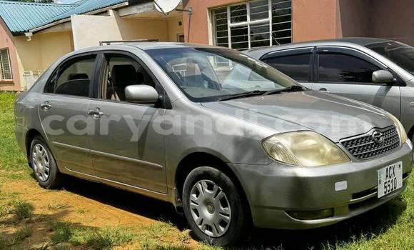 Buy Used Toyota Corolla Other Car in Chingola in Zambia Buy Used Toyota Corolla Other Car in Chingola in Zambia