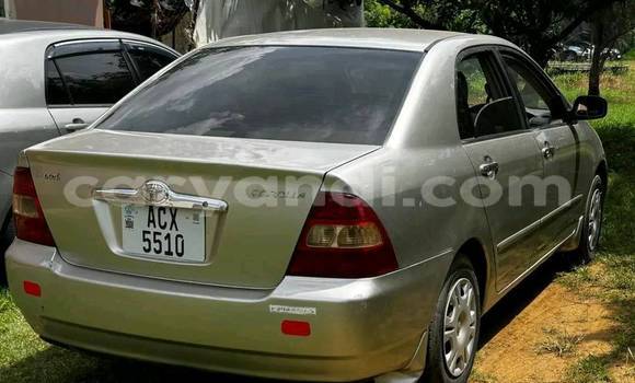 Buy Used Toyota Corolla Other Car in Chingola in Zambia Buy Used Toyota Corolla Other Car in Chingola in Zambia