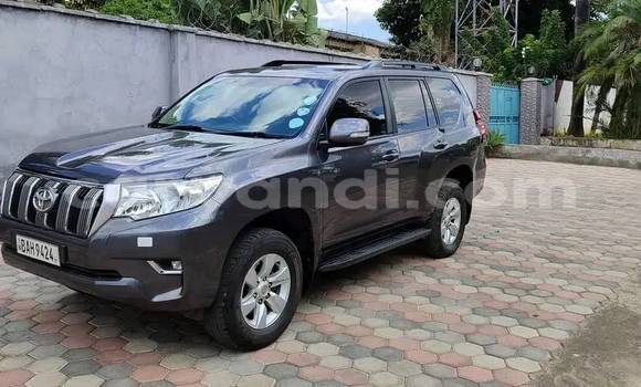 Buy Used Toyota Land Cruiser Black Car in Chingola in Zambia Buy Used Toyota Land Cruiser Black Car in Chingola in Zambia