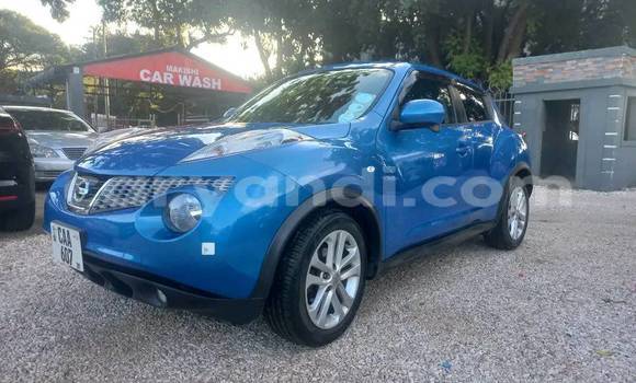 Buy Used Nissan Juke Blue Car in Chinsali in Northern Buy Used Nissan Juke Blue Car in Chinsali in Northern