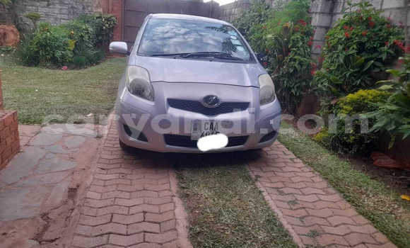 Acheter Occasion Voiture Toyota Vitz Autre à Chinsali, Nord Acheter Occasion Voiture Toyota Vitz Autre à Chinsali, Nord