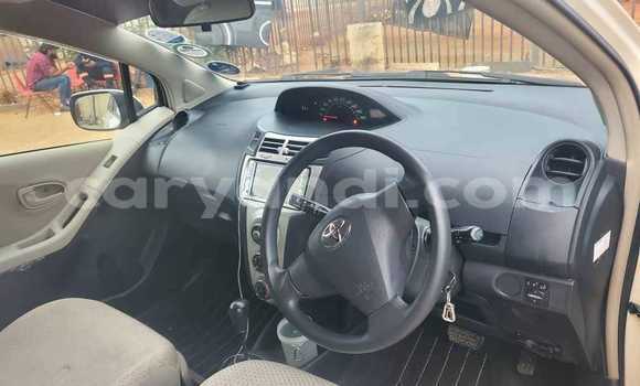 Acheter Occasion Voiture Toyota Vitz Blanc à Chinsali, Nord Acheter Occasion Voiture Toyota Vitz Blanc à Chinsali, Nord