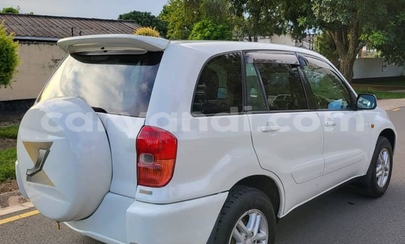 Tenga Tsaru Toyota RAV4 Chena Mota in Chinsali in Northern Tenga Tsaru Toyota RAV4 Chena Mota in Chinsali in Northern