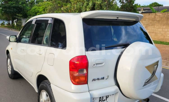 Tenga Tsaru Toyota RAV4 Chena Mota in Chinsali in Northern Tenga Tsaru Toyota RAV4 Chena Mota in Chinsali in Northern