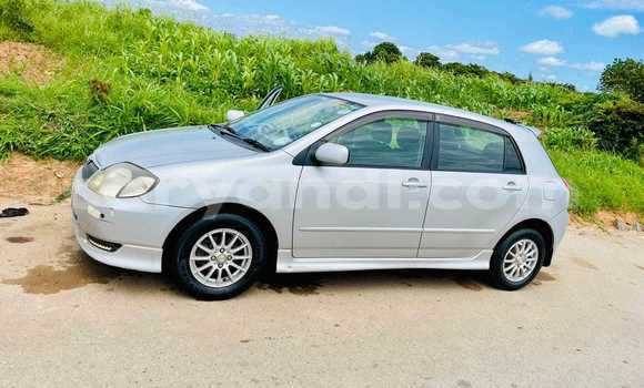 Acheter Occasion Voiture Toyota Runx Autre à Chinsali, Nord