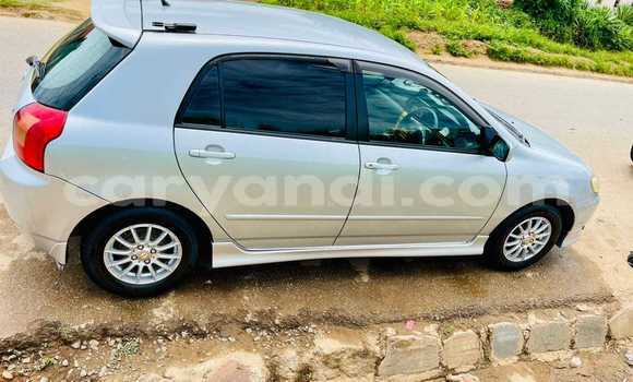 Acheter Occasion Voiture Toyota Runx Autre à Chinsali, Nord Acheter Occasion Voiture Toyota Runx Autre à Chinsali, Nord